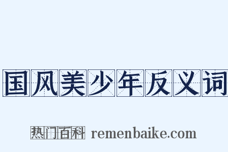 国风美少年反义词是什么意思的图片